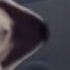 Profile picture of Samuel