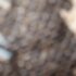 Profile picture of mmm