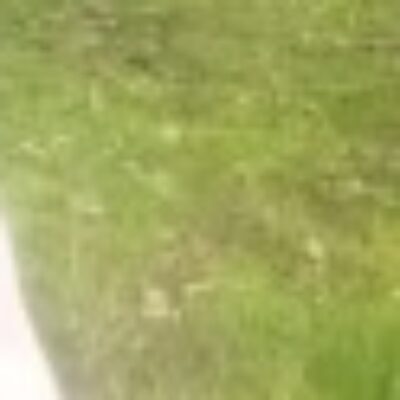 Profile picture of Maggie
