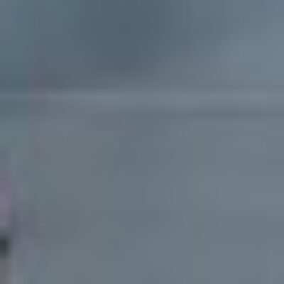 Profile picture of Rank